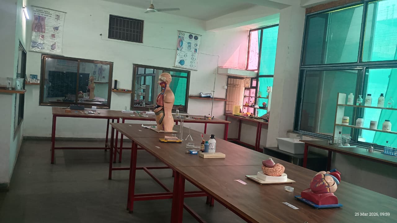 MDS International school